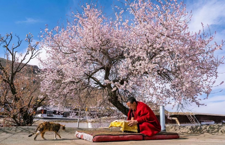 vi sao chu tang dung ra lam le cau an, dang sao hinh anh 2