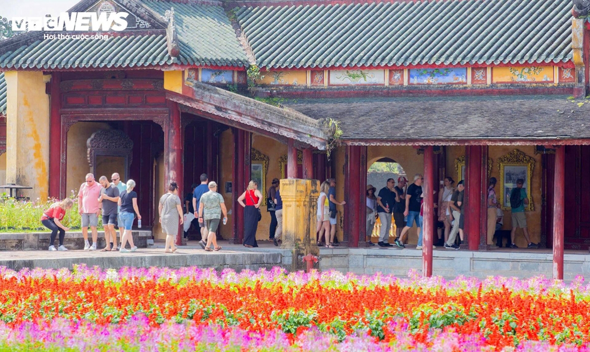 foreign visitors embrace lunar new year traditions at hue imperial citadel picture 5