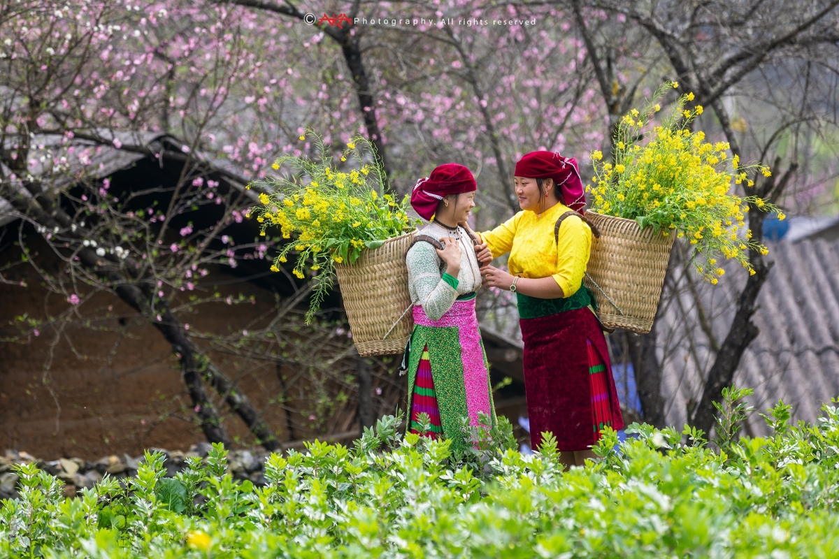 Nghe "Mùa xuân đầu tiên" để thấy mùa bình thường cũng hóa thiêng liêng