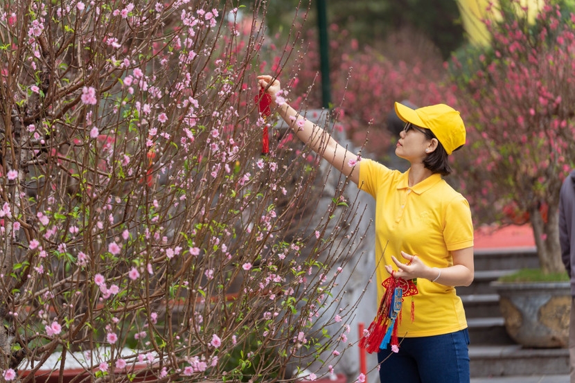 hanoi s largest spring flower festival opens to visitors picture 1