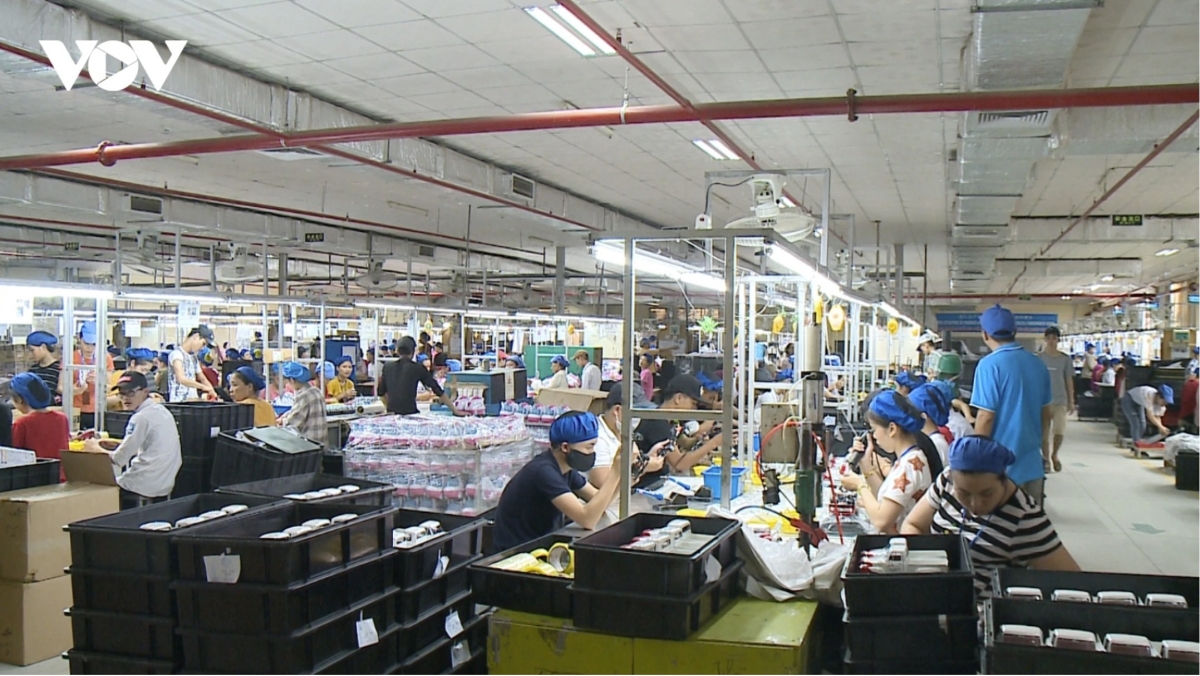 Strengthening internal capacity in SMEs