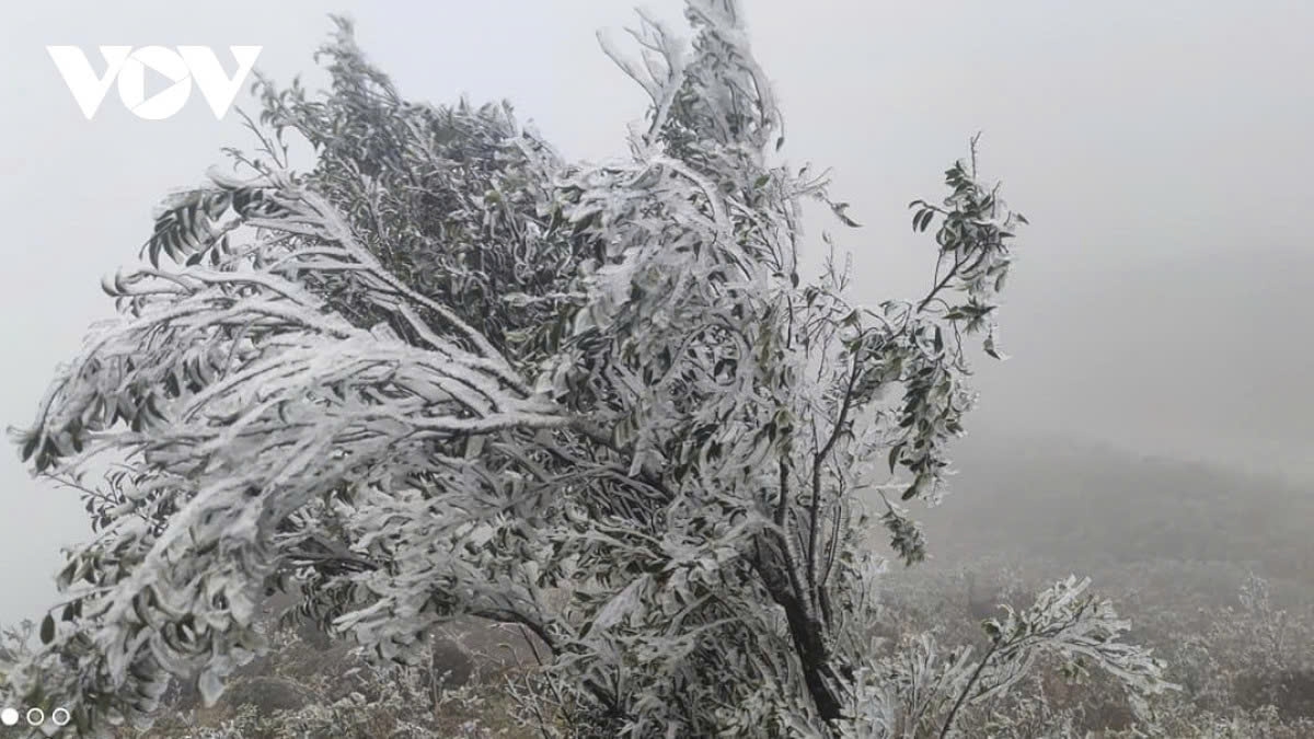 strong cold spell grips northern vietnam, frost and ice risk in mountains picture 1