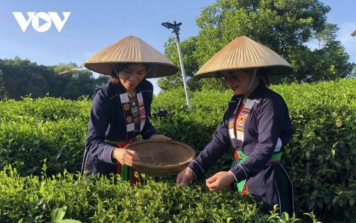 promoting green credit for sustainable agriculture picture 1