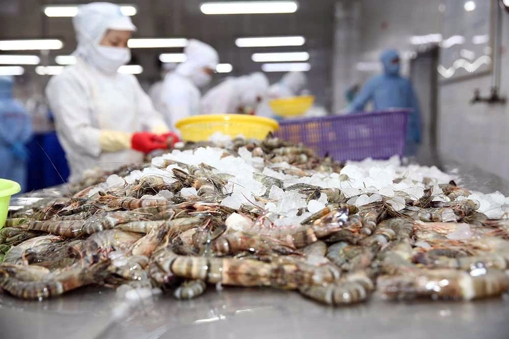 us lowers final anti-dumping duties on vietnamese shrimp following review picture 1