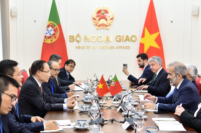 vietnamese, portuguese foreign ministers hold talks in hanoi picture 1