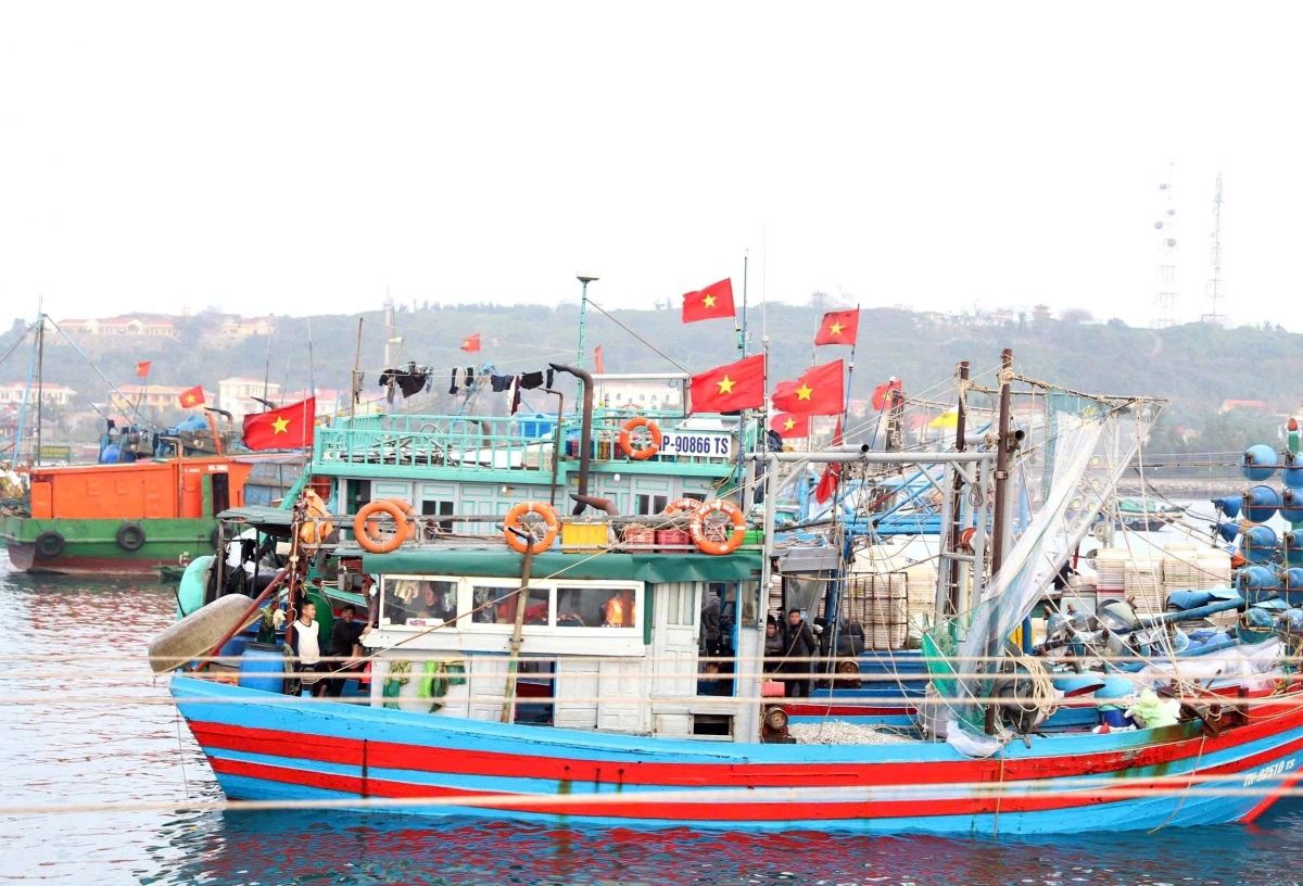 a peaceful lunar new year on vietnam s bach long vi remote island picture 1