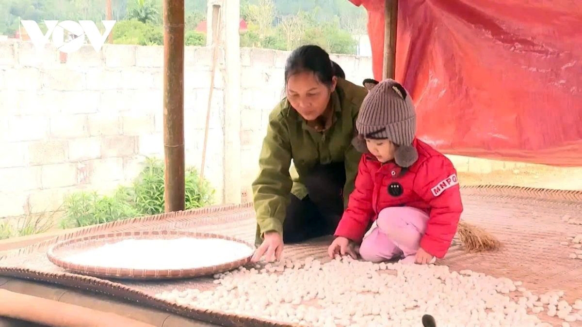 khau sli cake a traditional tet delicacy of tay and nung ethnic groups picture 2