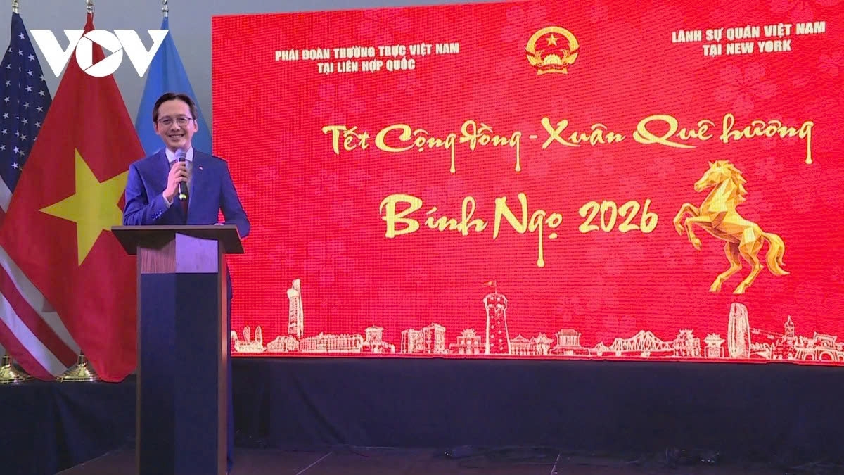 tet celebrations held for vietnamese expats in new york picture 1