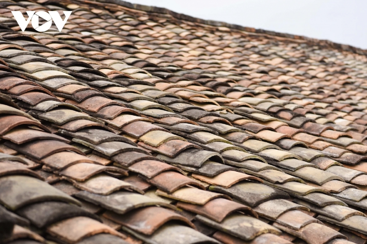 bac hoa village a rustic beauty in the northern highlands picture 6