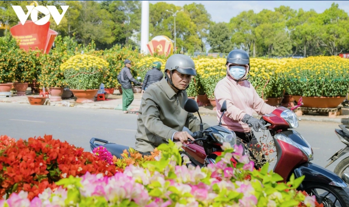 spring colors fill lunar new year flower market in buon ma thuot picture 5