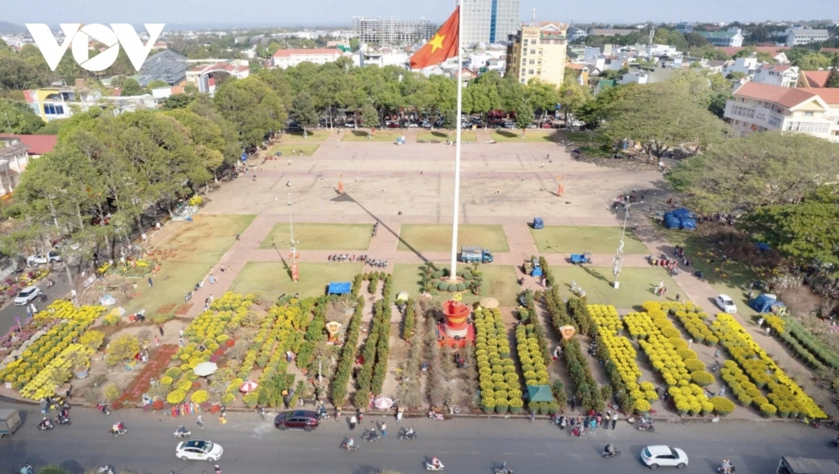spring colors fill lunar new year flower market in buon ma thuot picture 2