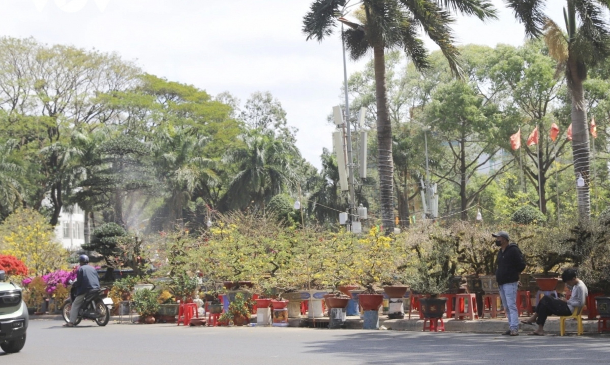 spring colors fill lunar new year flower market in buon ma thuot picture 1