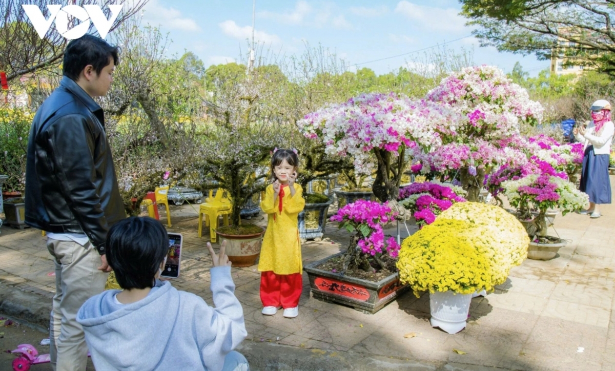 spring colors fill lunar new year flower market in buon ma thuot picture 15