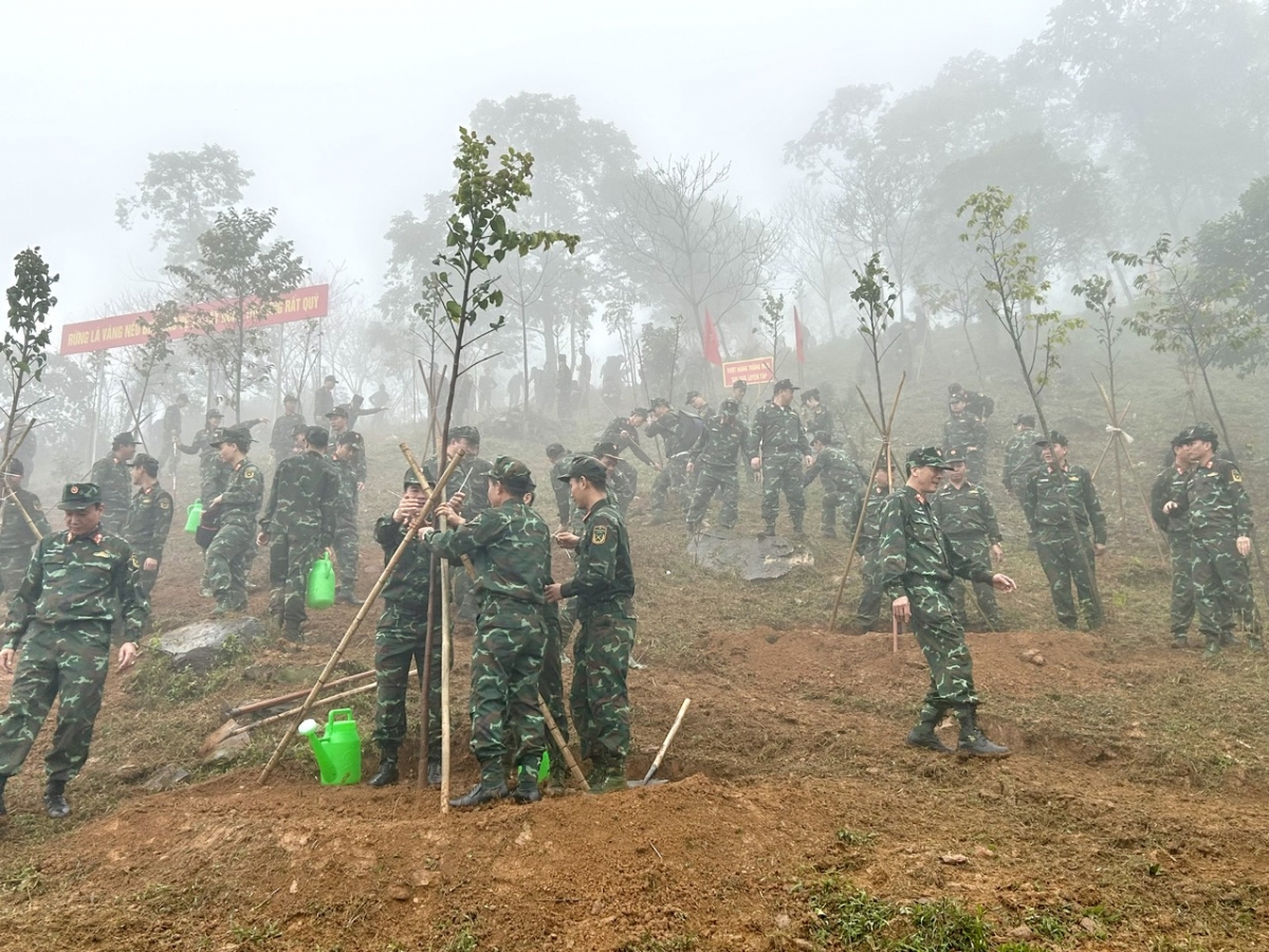 Binh chủng Đặc công trồng trên 53.000 cây xanh