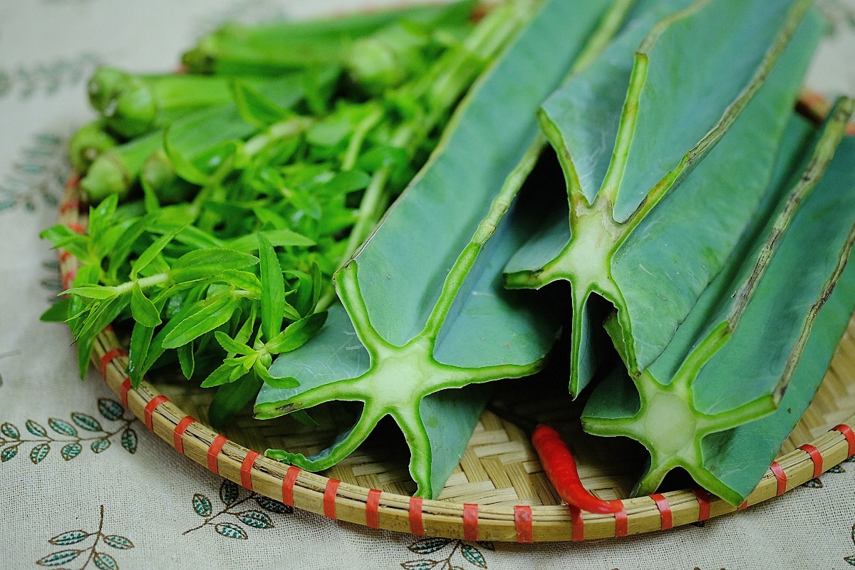 Loại cây dại đầy gai mọc ven biển thành đặc sản