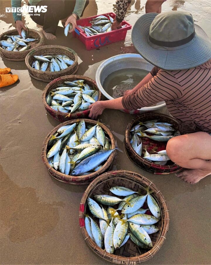 lang chai gia lai hoi sinh sau bao lich su, buon ban tap nap ben song nuoc hinh anh 13