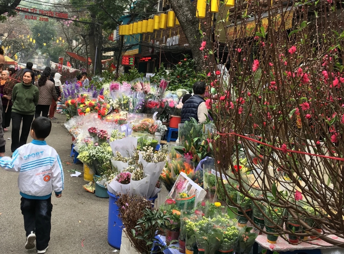 ha noi song va yeu cho hoa hang luoc, giu mot mua xuan hinh anh 1