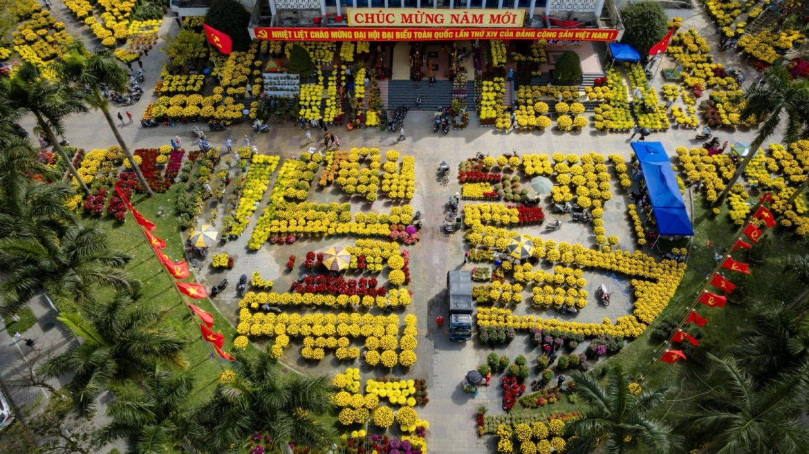 cho hoa xuan o hue, hoa cuc mat mua duoc gia hinh anh 4