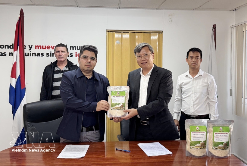 vietnam supports cuba in ensuring food security picture 1