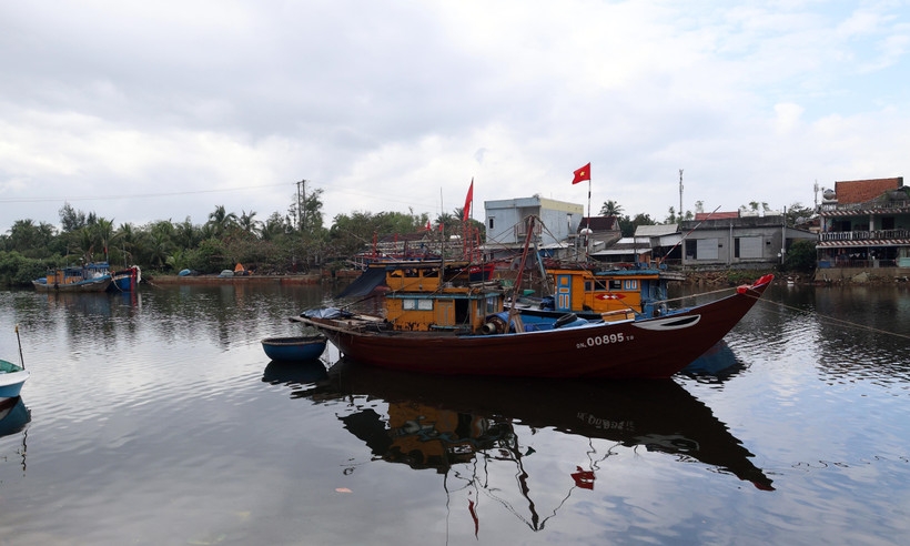 combatting iuu fishing da nang restructures fleet to protect marine resources picture 1