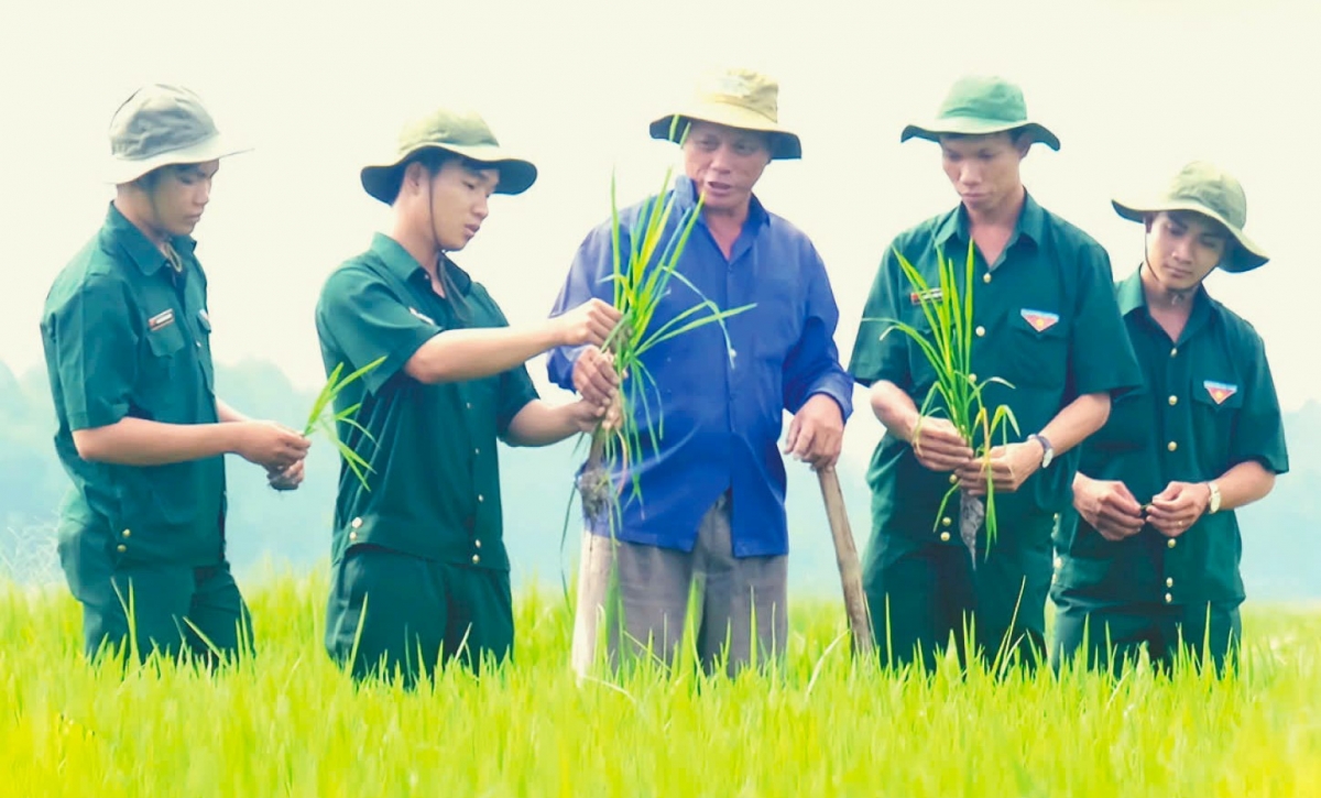 Đảng viên - Tri thức trẻ tình nguyện xung kích trong thực hiện “nhiệm vụ kép”