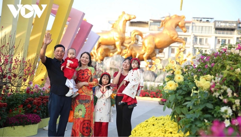 giant eight horses installation draws visitors at ha long bay flower boulevard picture 5
