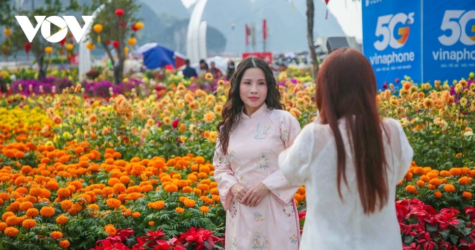 giant eight horses installation draws visitors at ha long bay flower boulevard picture 7