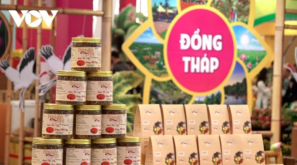 spring fair 2026 highlights growing competitiveness of vietnamese products picture 2