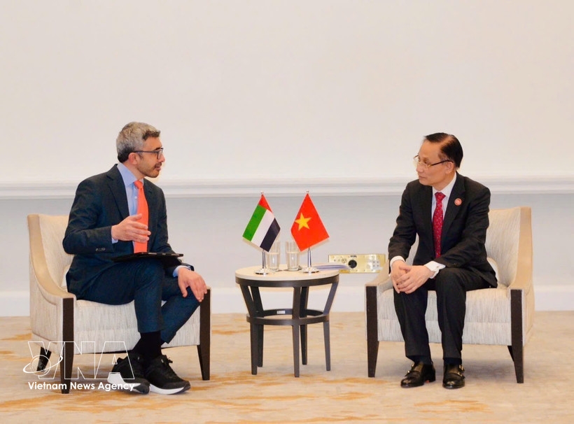 vietnamese fm meets counterparts of uae, egypt and t rkiye picture 1