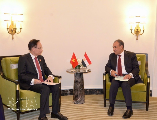 vietnamese fm meets counterparts of uae, egypt and t rkiye picture 2