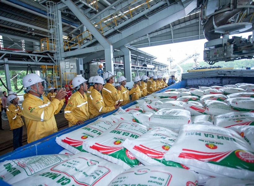 vietnamese firm successfully exports first 40,000 tonnes of fertiliser to us picture 1