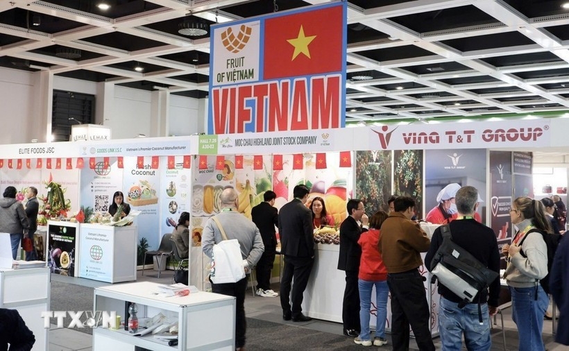 vietnamese businesses seek opportunities to expand markets at fruit logistica 2026 picture 1