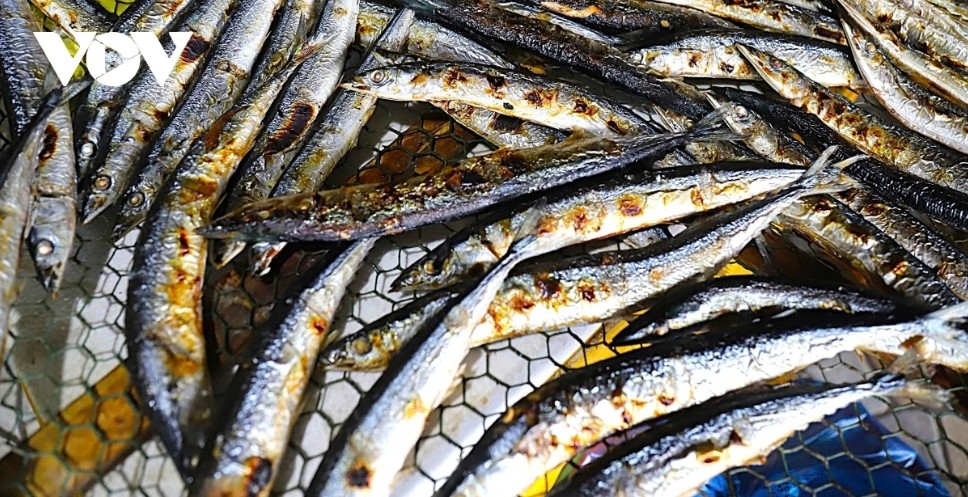 grilled fish village in nghe an at peak output ahead of lunar new year picture 8