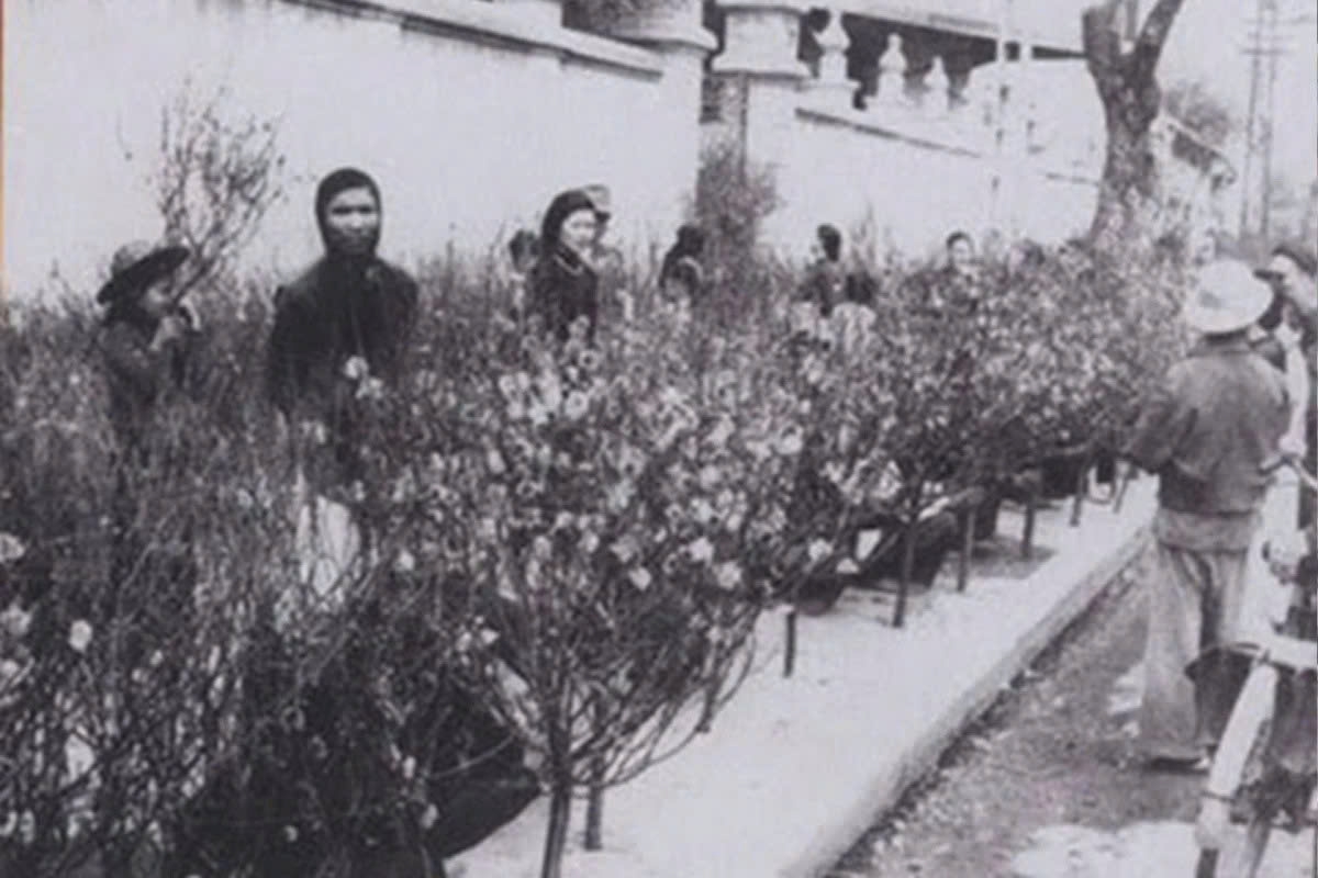 hang luoc flower market evokes tet memories past and present in the heart of hanoi picture 1