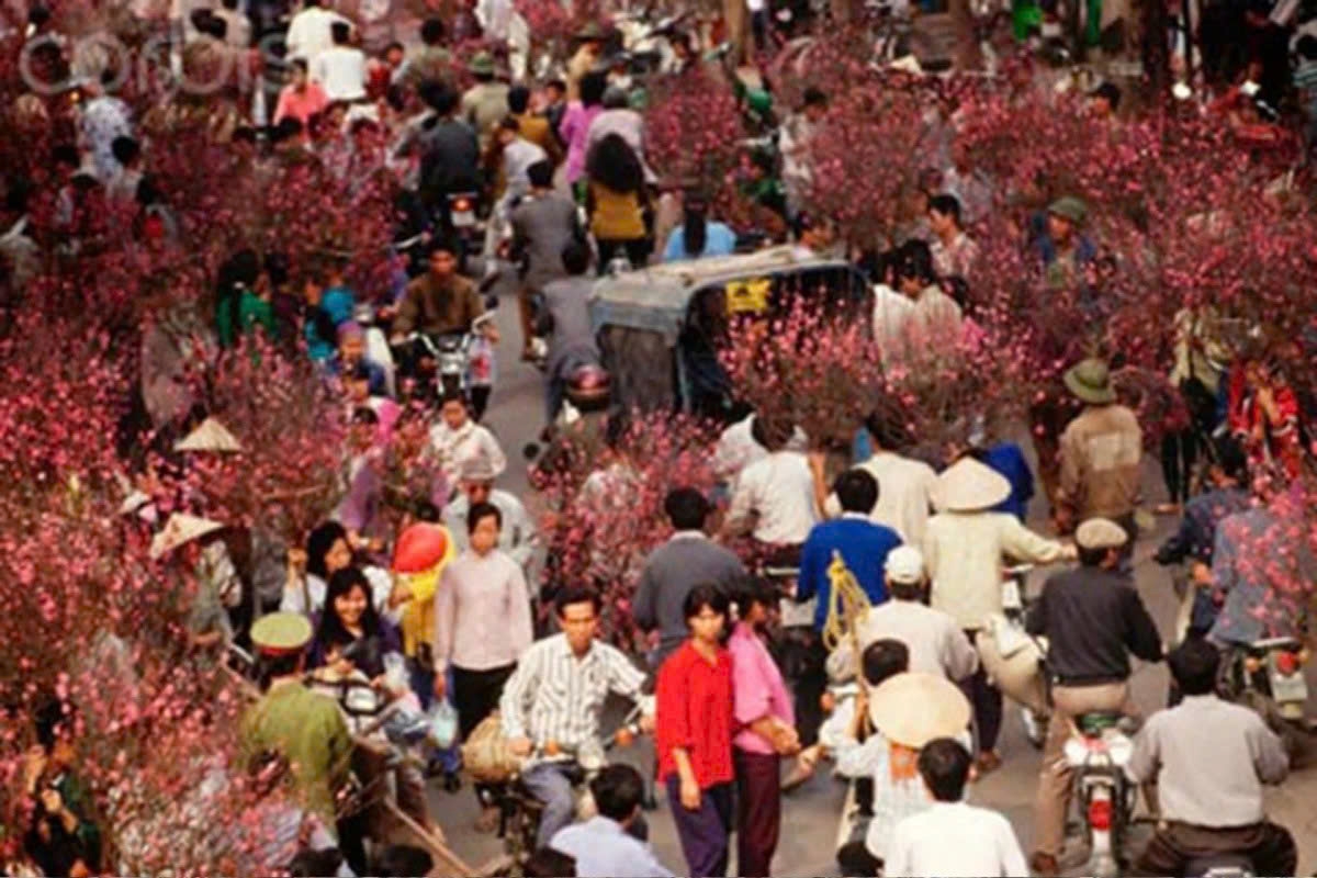 hang luoc flower market evokes tet memories past and present in the heart of hanoi picture 2