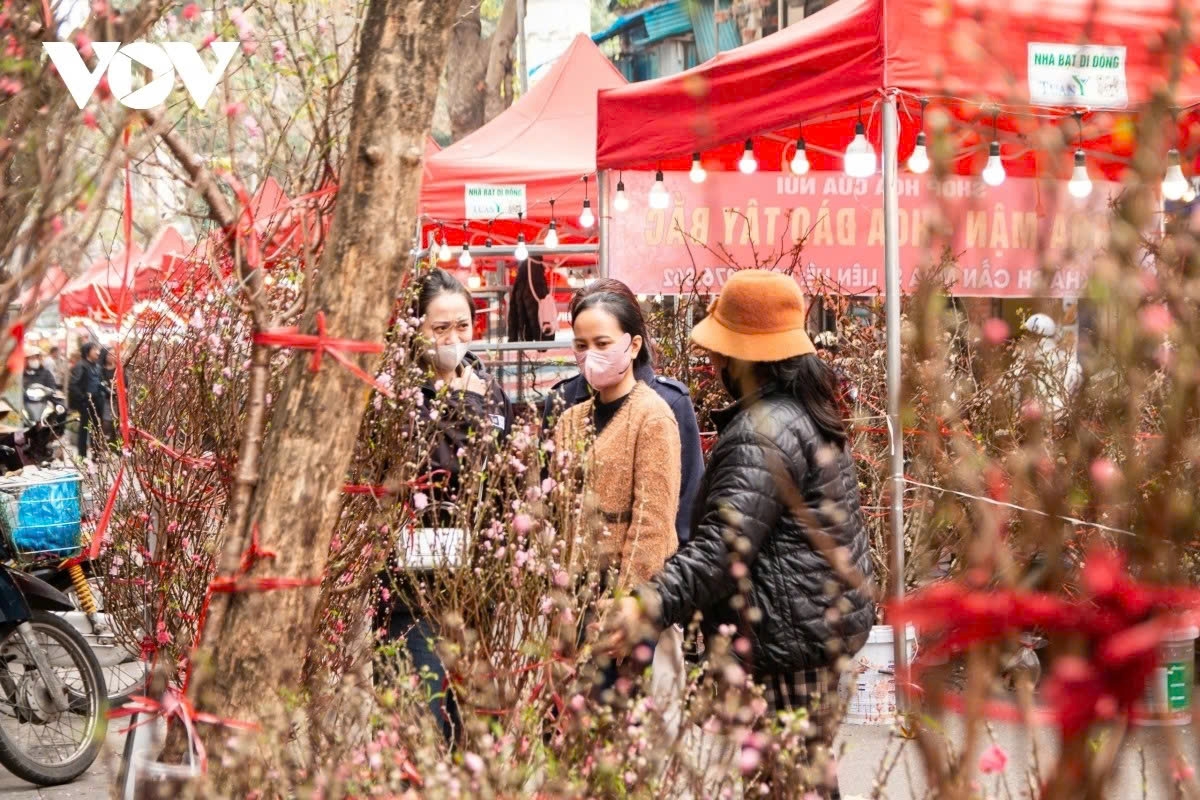 hang luoc flower market evokes tet memories past and present in the heart of hanoi picture 4