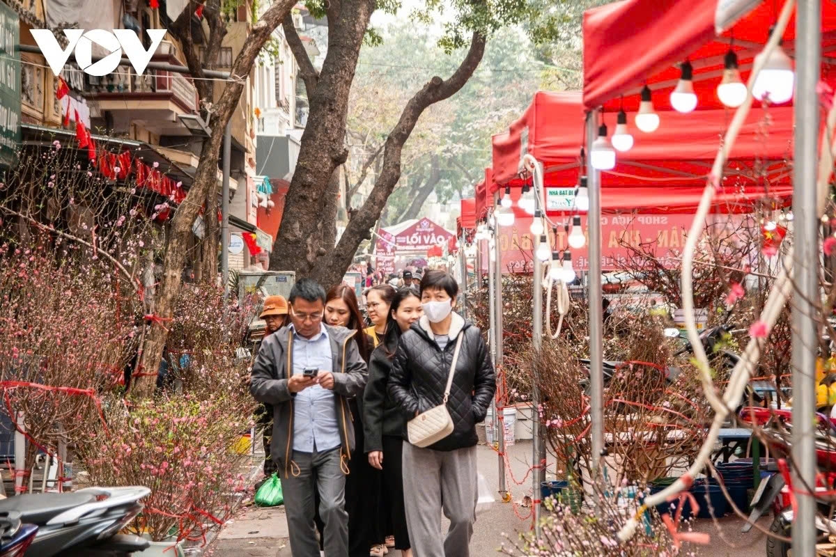 hang luoc flower market evokes tet memories past and present in the heart of hanoi picture 6