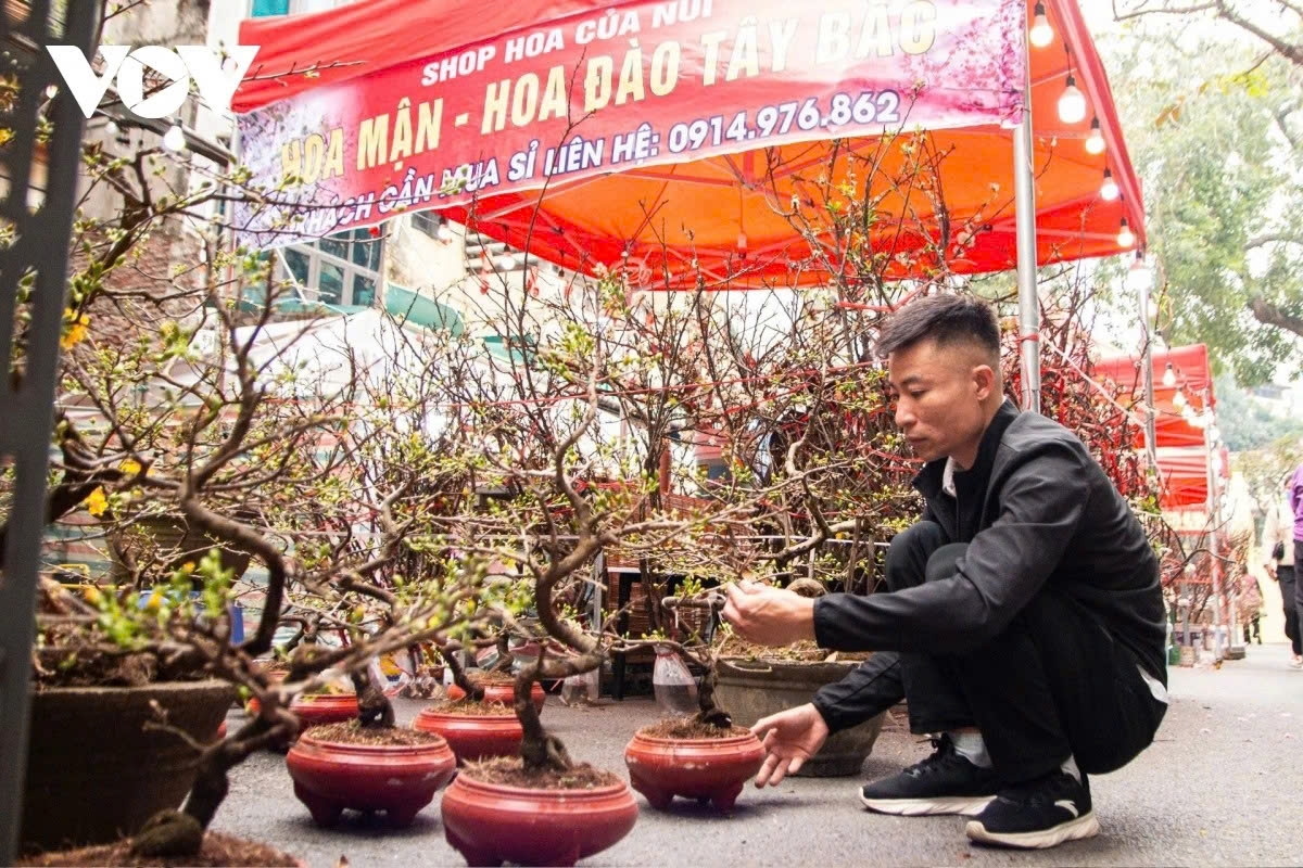 hang luoc flower market evokes tet memories past and present in the heart of hanoi picture 9