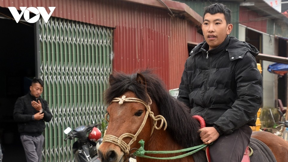 horse market amid the mist in bac ha highlands picture 12