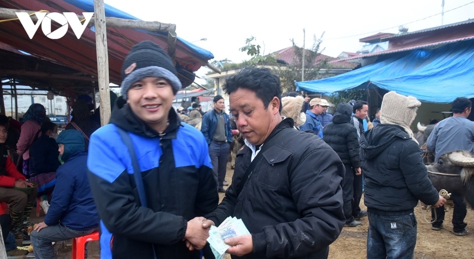 horse market amid the mist in bac ha highlands picture 15