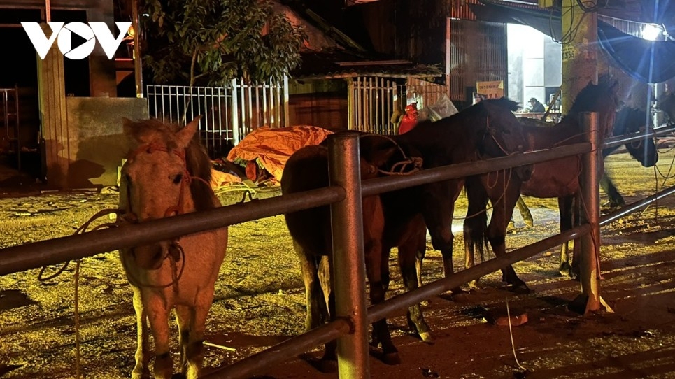 horse market amid the mist in bac ha highlands picture 2