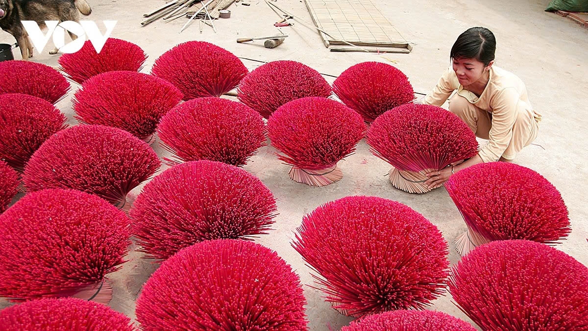 incense-making village in hung yen bustles ahead of lunar new year picture 15