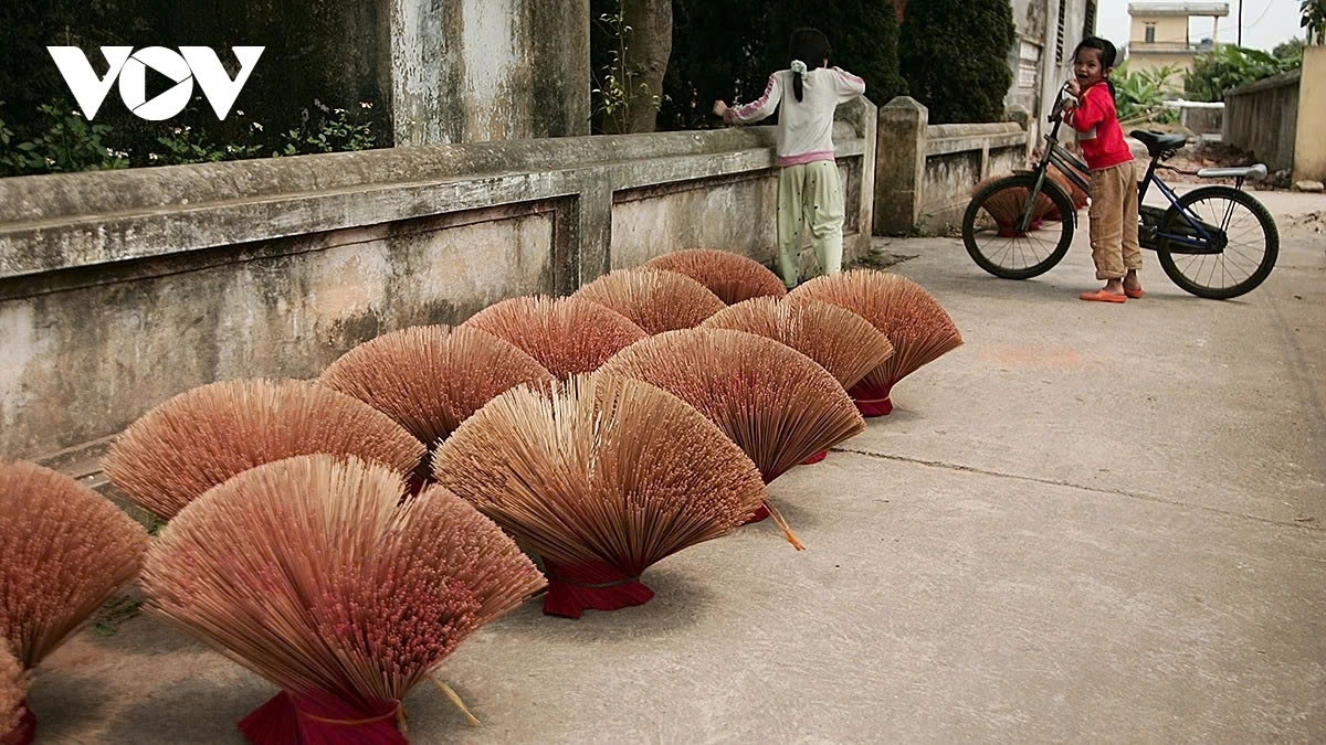 incense-making village in hung yen bustles ahead of lunar new year picture 18