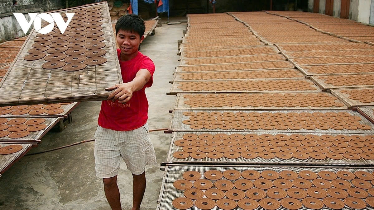 incense-making village in hung yen bustles ahead of lunar new year picture 2