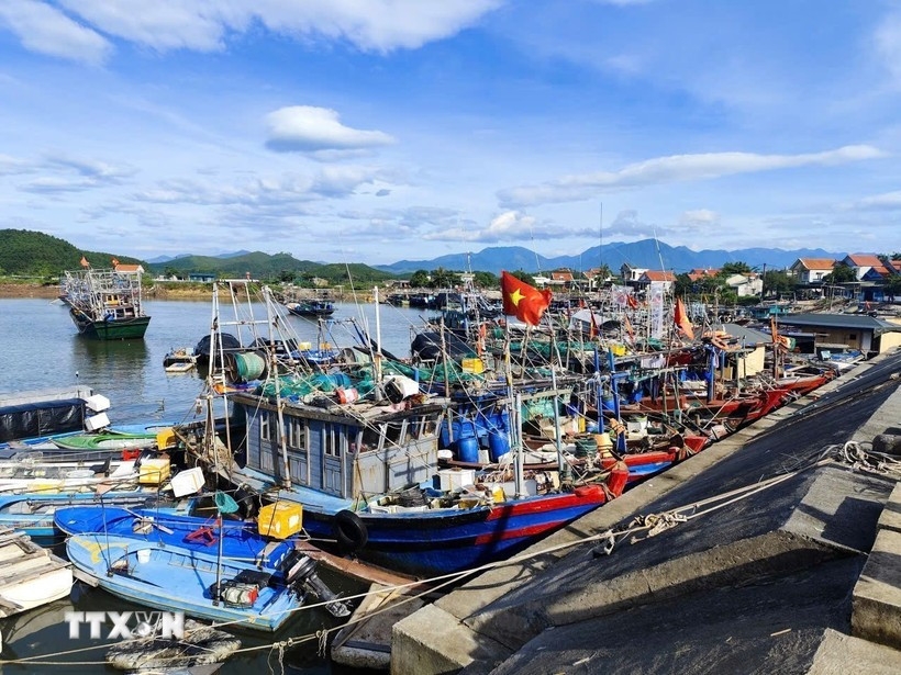 quang ninh completes fishing licence issuance ahead of schedule picture 1