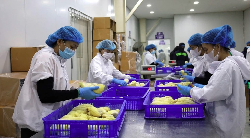 stronger competitiveness sought as export growth faces global pressures picture 1