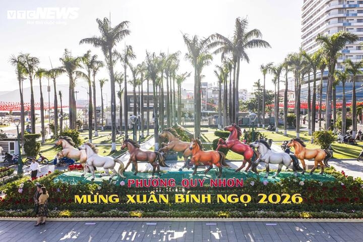 can canh cum linh vat ngua thanh giong mung xuan binh ngo o gia lai hinh anh 11