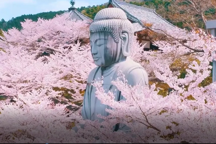 vi sao chu tang dung ra lam le cau an, dang sao hinh anh 1