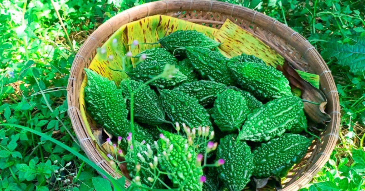 loai qua nhieu nguoi ghet vi dang lai la vua duong gan cuc tot cho suc khoe hinh anh 1