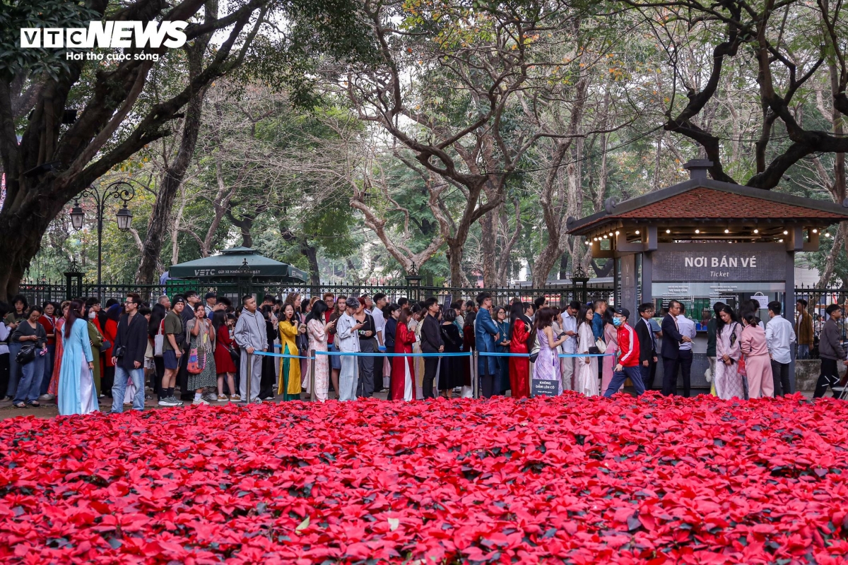 crowds flock to temple of literature for new year calligraphy picture 2